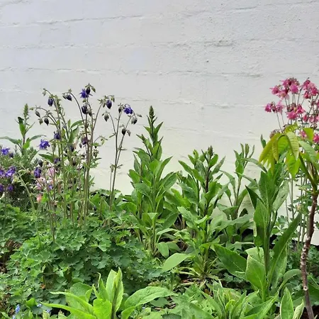 Lejlighed Atelierhaus Tannenweg