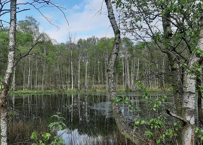 Atelierhaus Tannenweg Lejlighed